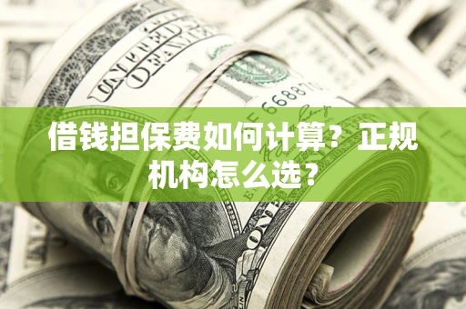 济南借钱担保费如何计算？正规机构怎么选？