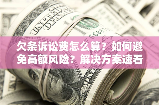 济南欠条诉讼费怎么算？如何避免高额风险？解决方案速看！