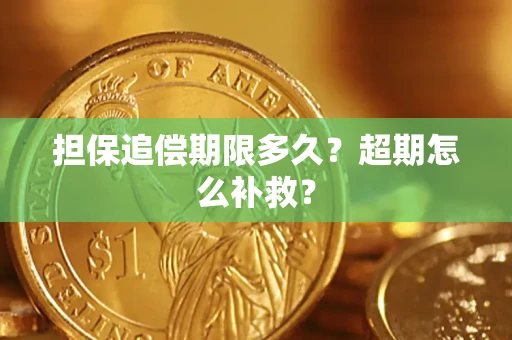 济南担保追偿期限多久？超期怎么补救？