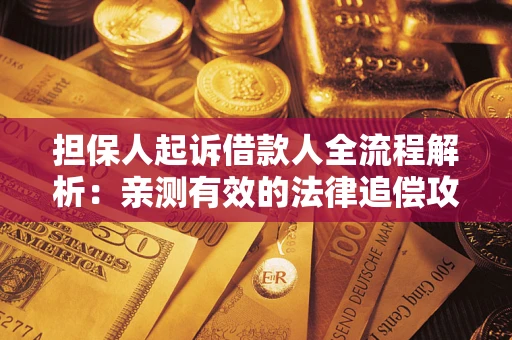 济南担保人起诉借款人全流程解析：亲测有效的法律追偿攻略
