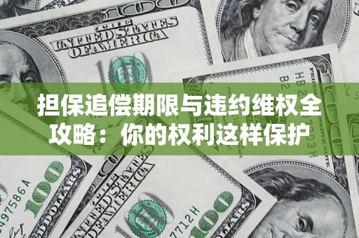 济南担保追偿期限与违约维权全攻略：你的权利这样保护